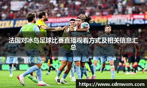 法国对冰岛足球比赛直播观看方式及相关信息汇总